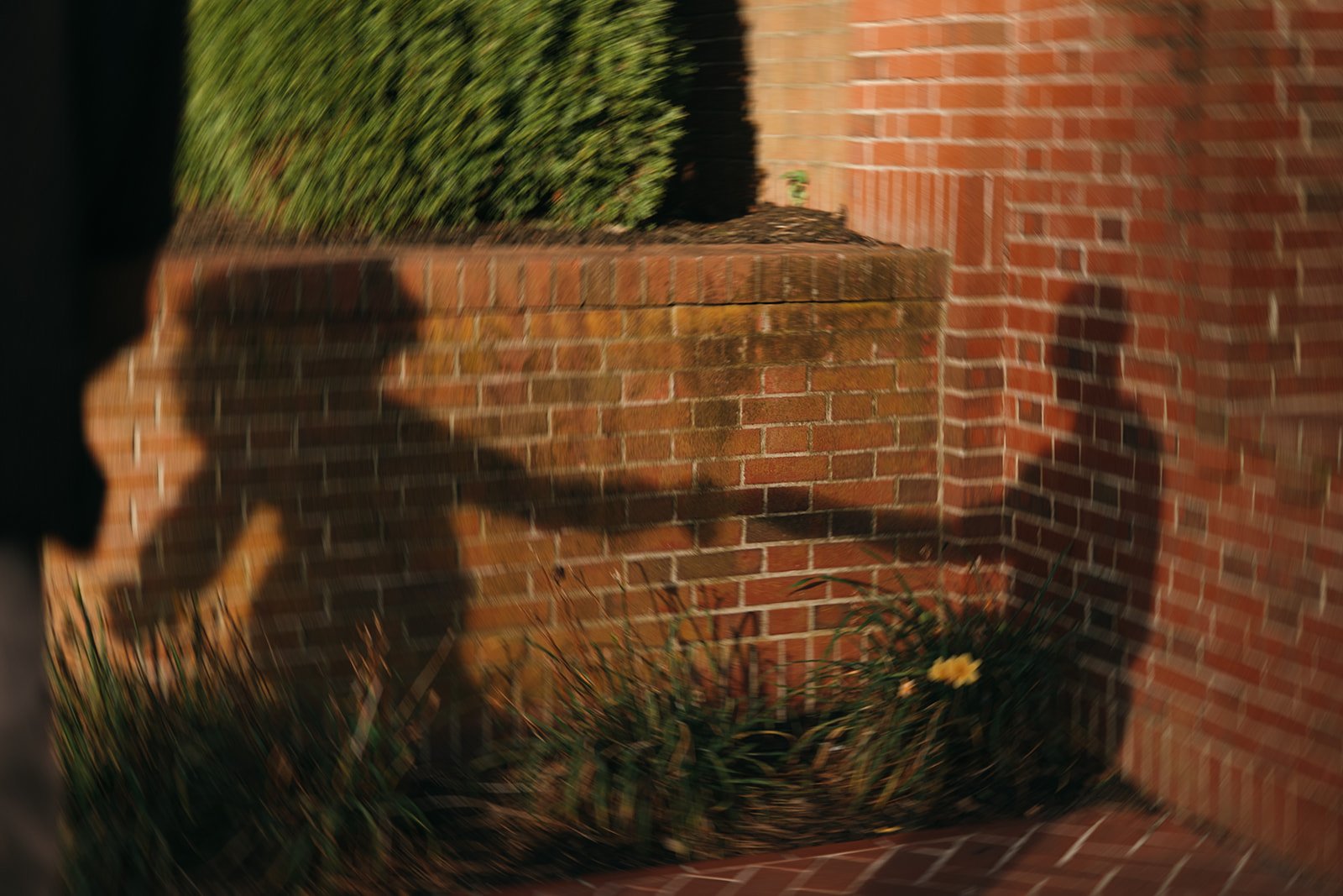 documentary style engagement photo of couples shadow dancing