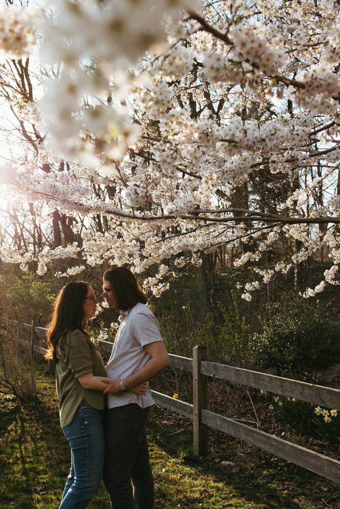 Couple poses under flowering trees in springtime at Arnold Arboretum