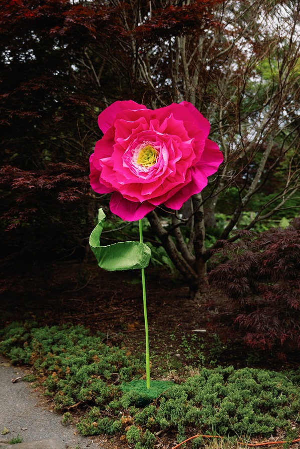 gardens at elm bank wedding flower